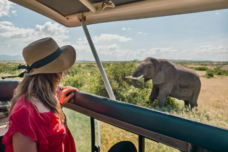 3 Days Masai mara safari
