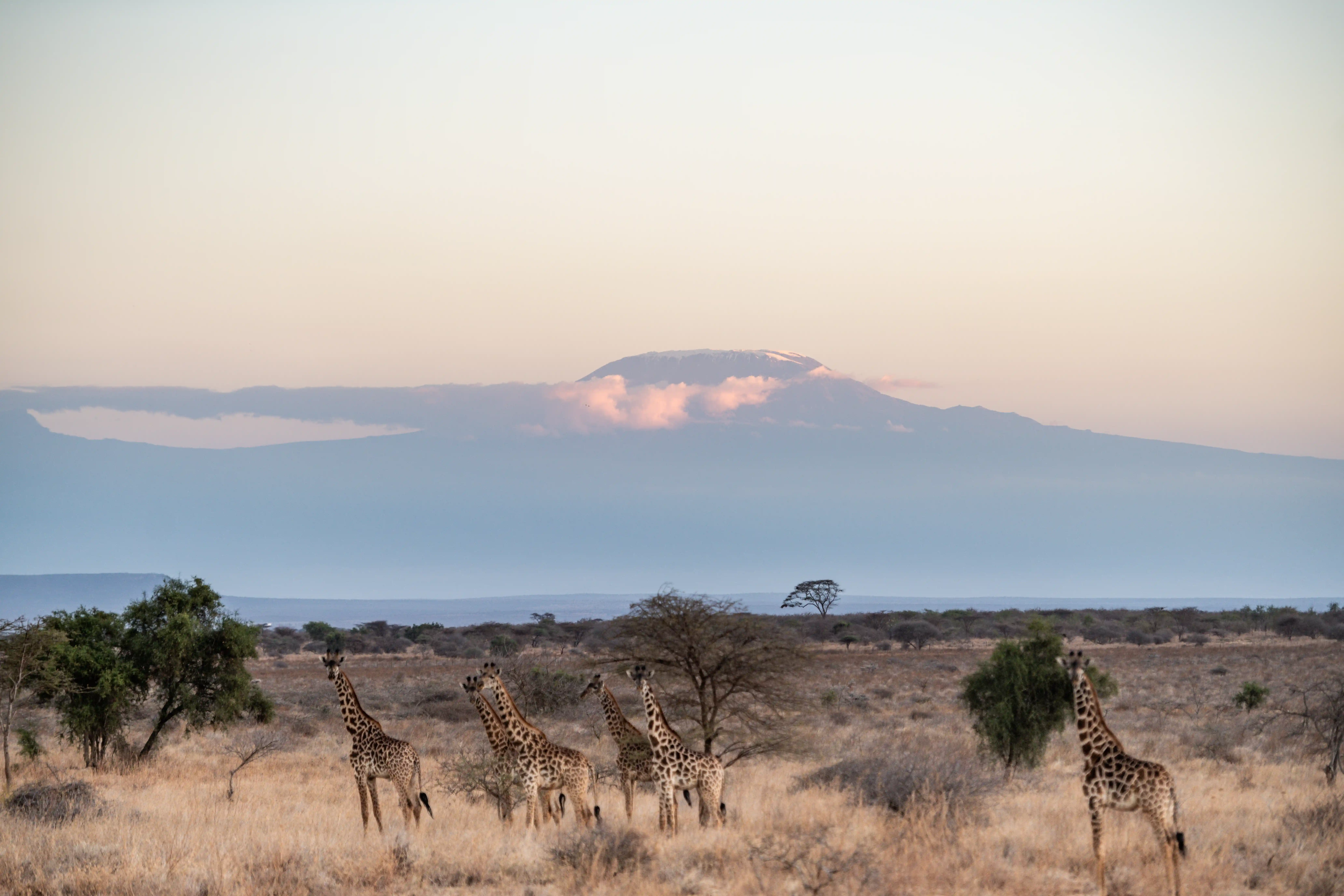 7 Days Chyulu Hills & Masai Mara Fly-In Safari