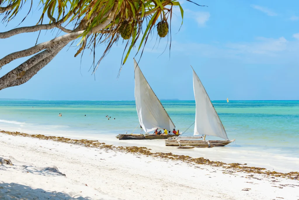 8 Days Masai Mara & Watamu Beach