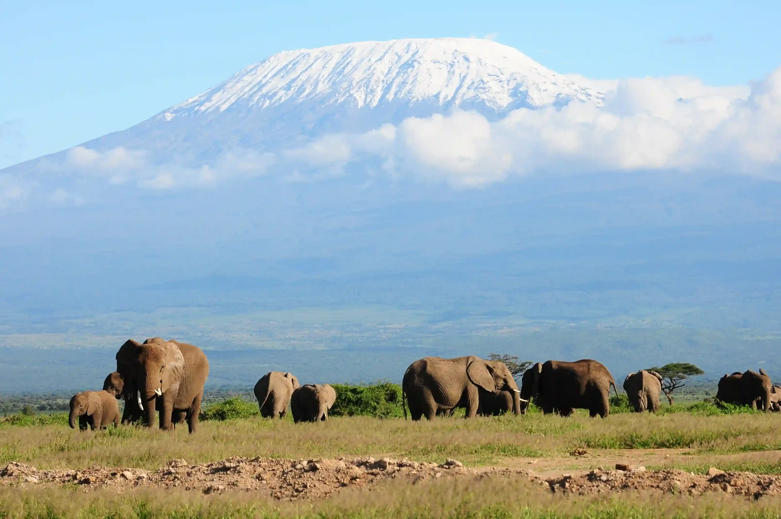 2 days amboseli safari