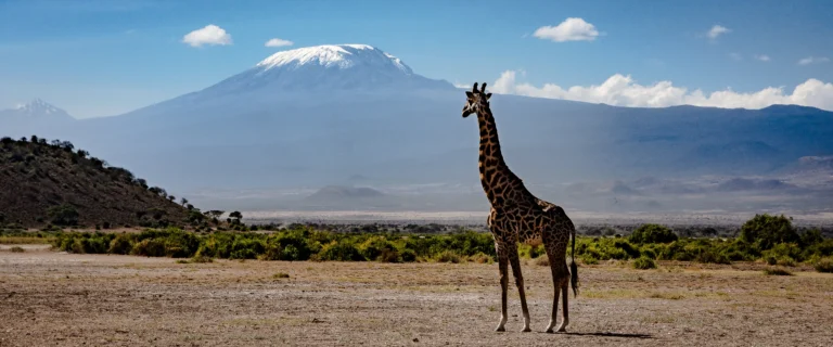 2 days amboseli safari