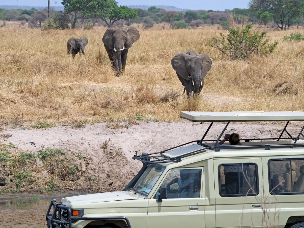 3 days masai mara game drive