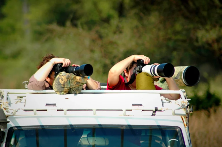 photography safari