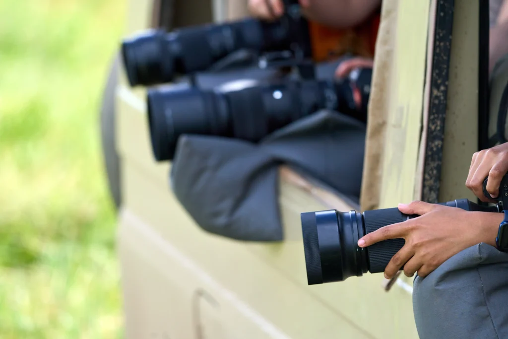 migration photography