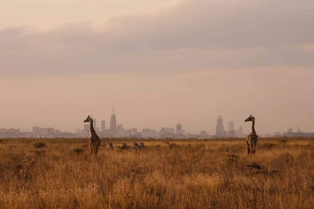 Nairobi national park